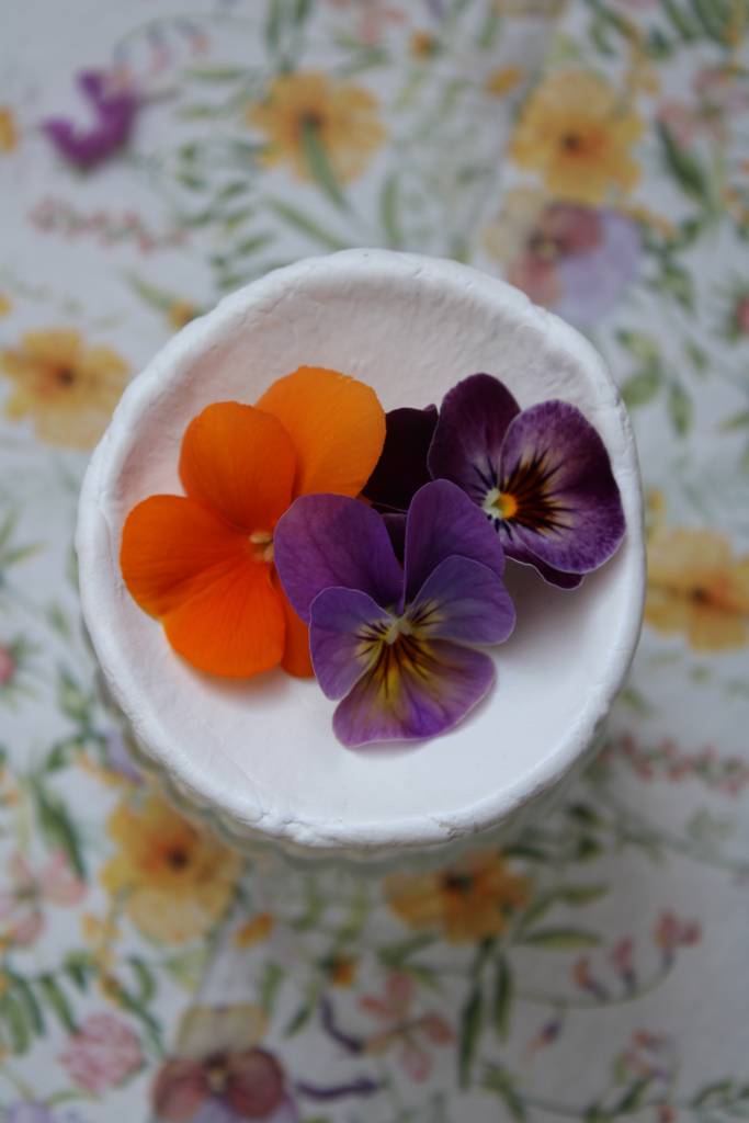 Blumenfreund "Kelch"