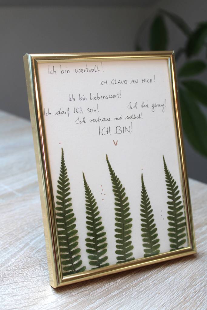 Bild "Farn"