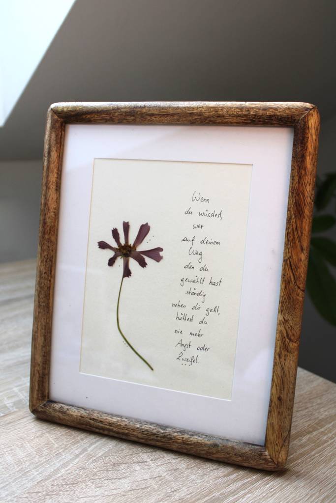 Blumenbild "Cosmea"