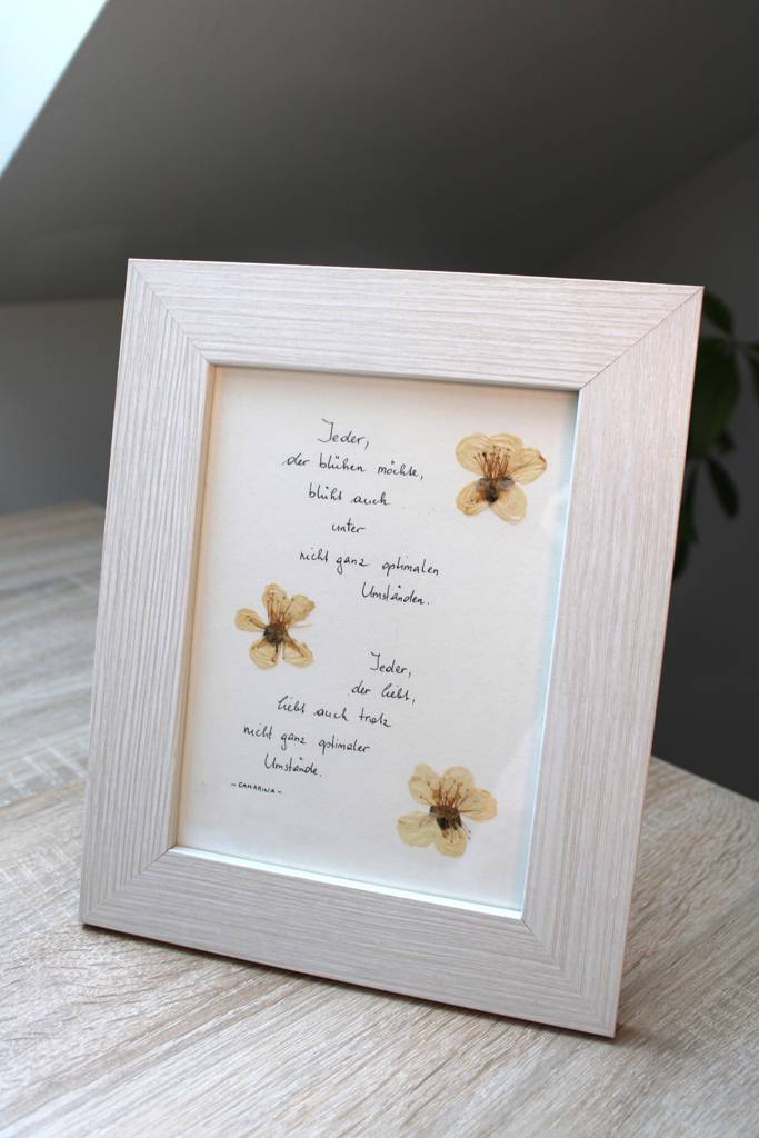 Blumenbild "Kirschblüte"