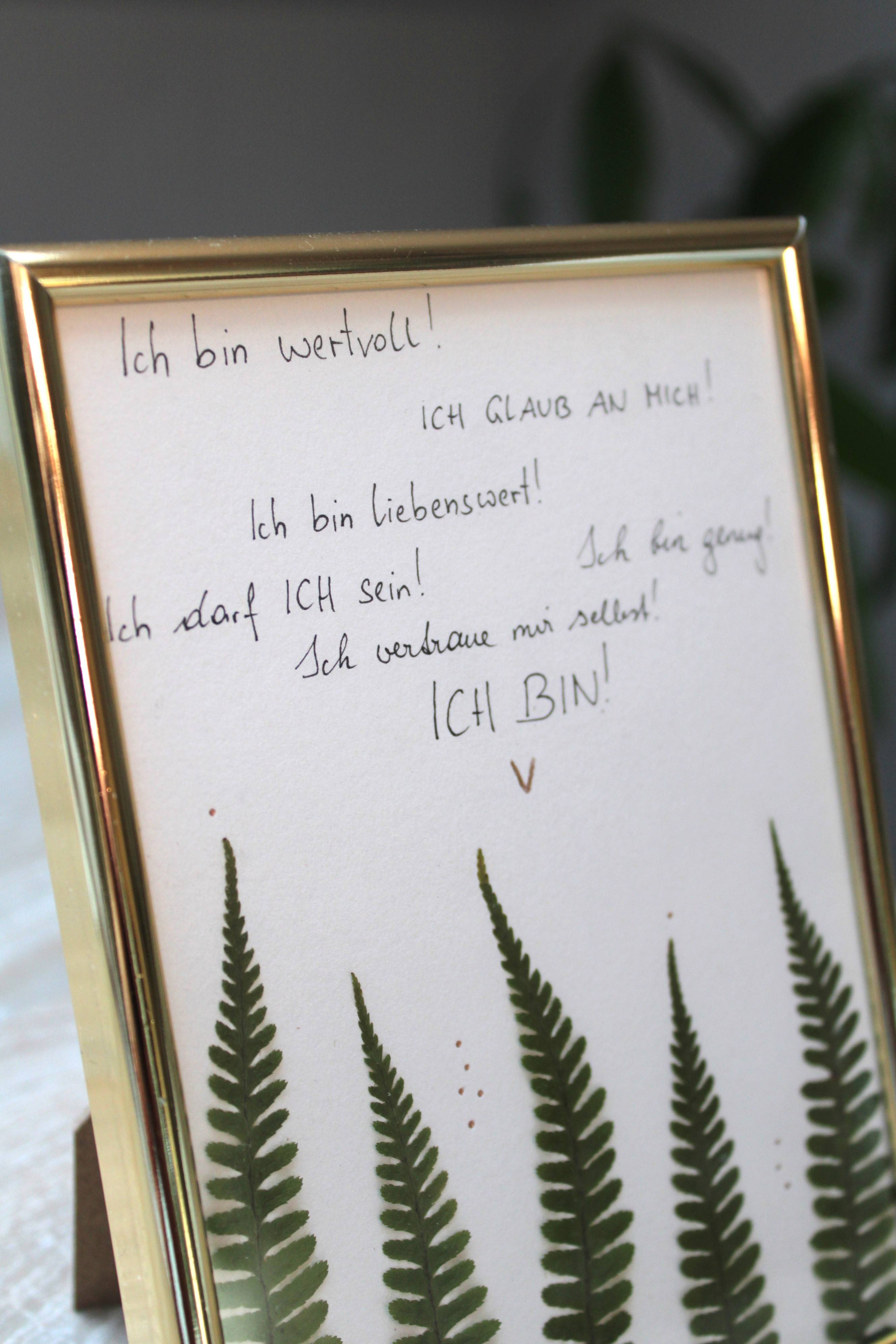 Bild "Farn" 2
